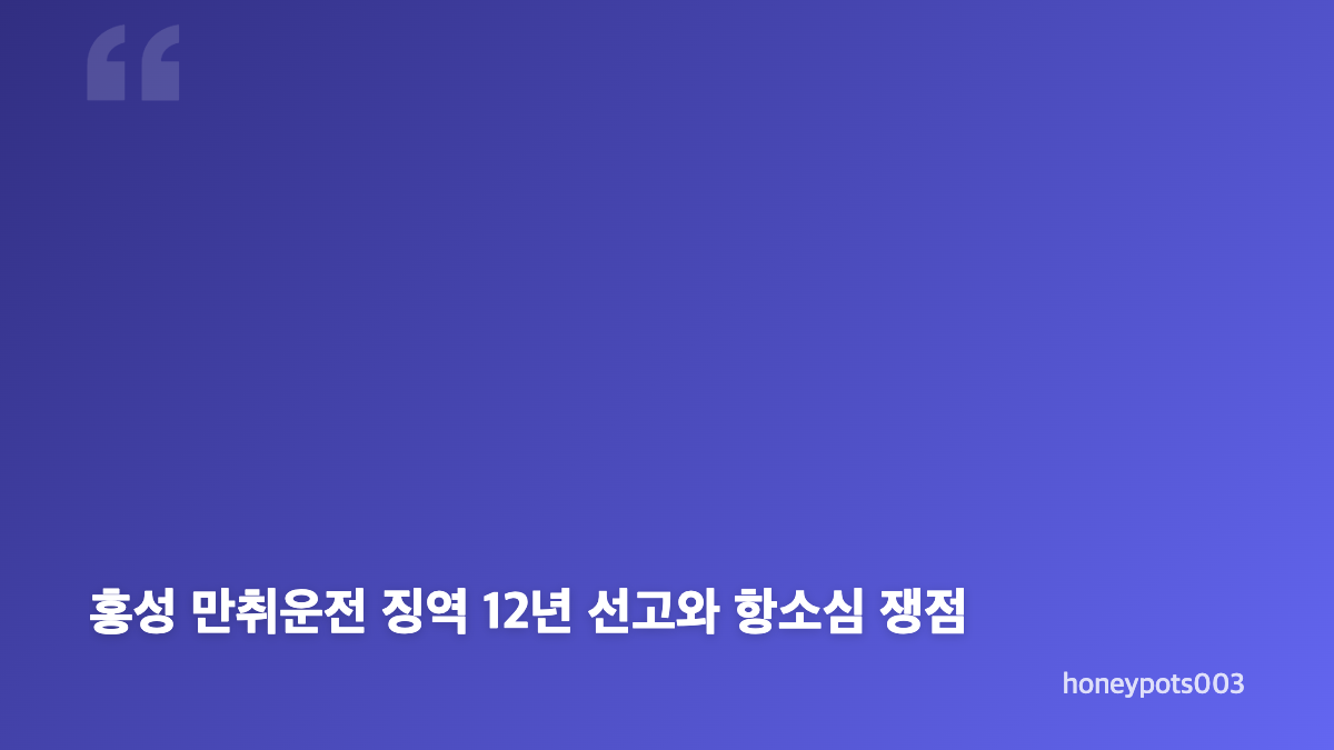 홍성 만취운전 사건반장 블랙박스에 담긴 6살 딸의 절규