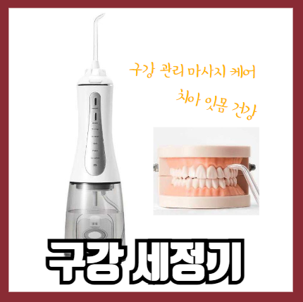 구강세정기