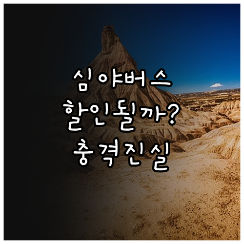 모두의카드 대중교통 할인 혜택 심야버..