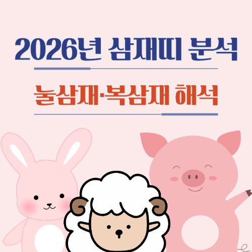 2026년_삼재띠_띠별_분석