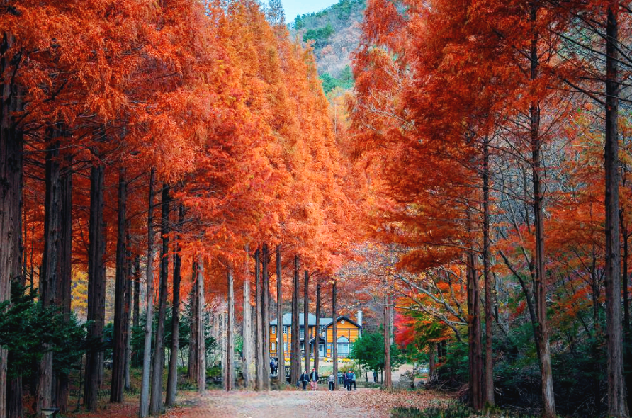 논산 온빛자연휴양림