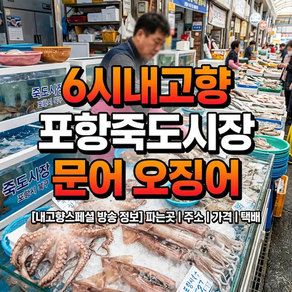 6시내고향 포항죽도시장 문어 오징어