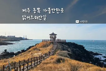 제주 가볼만한곳 맛집 카페 추천 겨울 현지인 코스_5