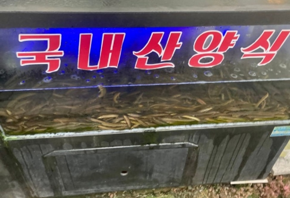 국내산미꾸라지-양식-동네한바퀴-인천-임영웅-우렁이-추어탕-