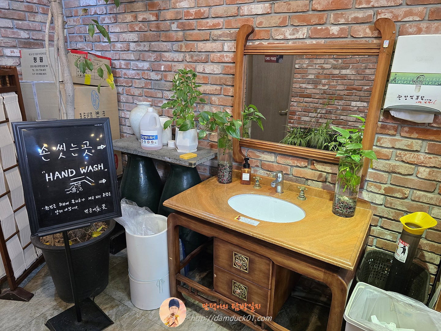 백운애꽃 손 씻는 곳