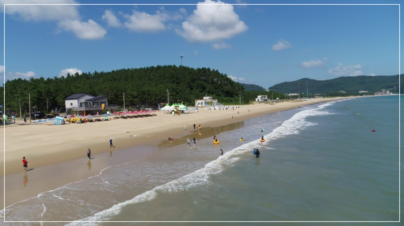 완도 가볼만한곳 베스트10 신지 명사십리 해수욕장