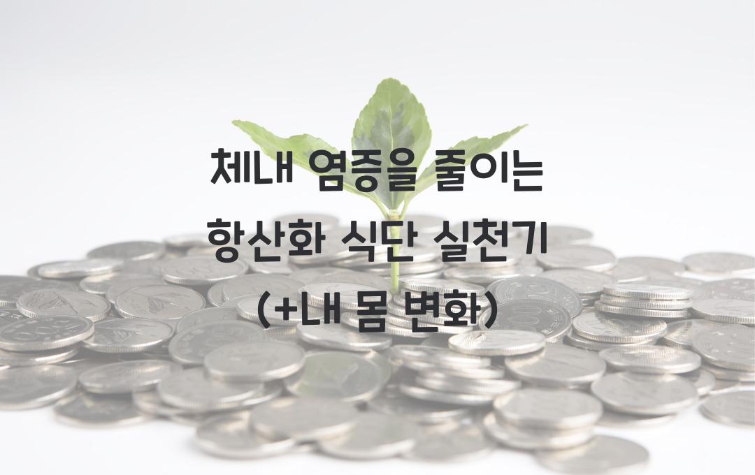 체내 염증을 줄이는 항산화 식단, 자연 치유력을 높이는 음식