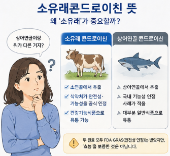 소유래콘드로이친-효과-내돈내산-후기-성분-부작용-뜻