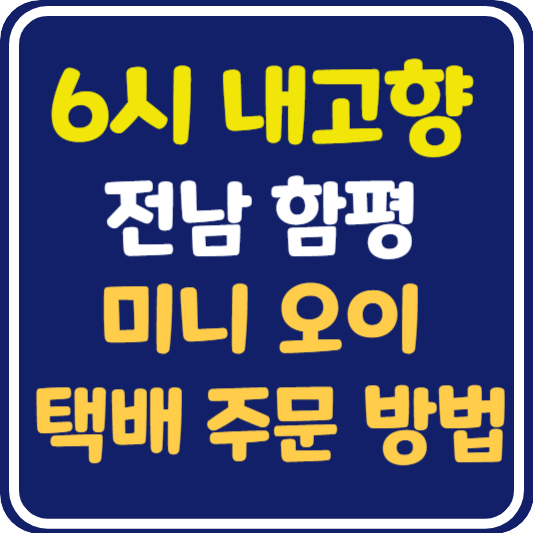 6시 내고향 함평 미니오이 택배 주문 방법