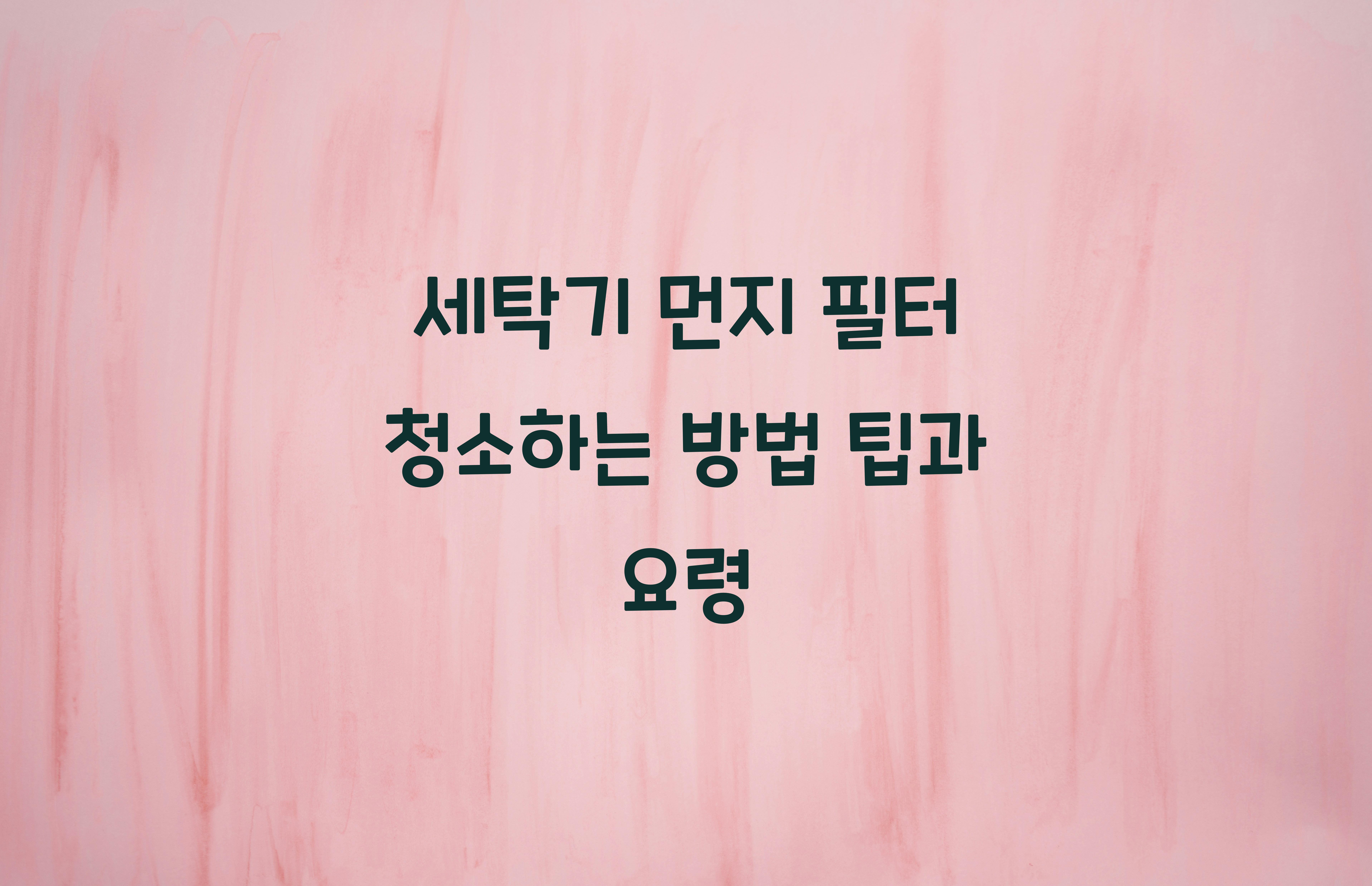 세탁기 먼지 필터 청소하는 방법