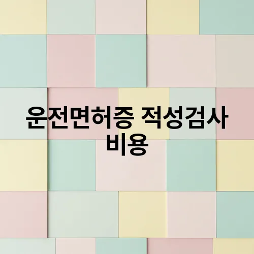 운전면허증 적성검사 비용