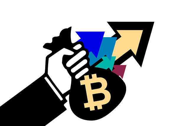 XRP 리플