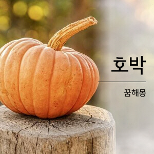 호박 꿈해몽
