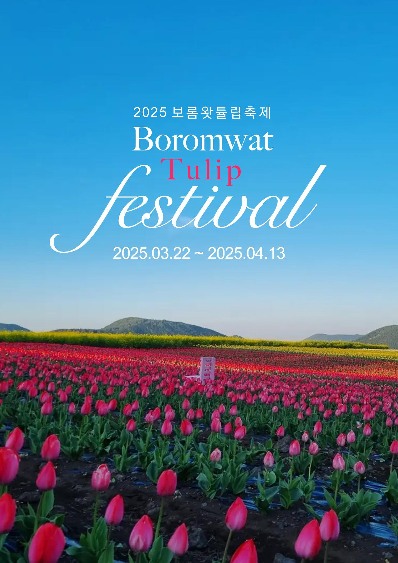 보롬왓 튤립축제 포스터