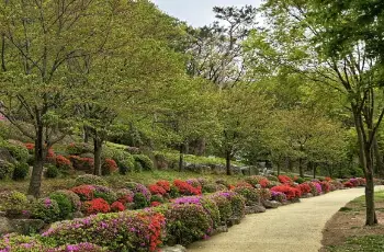 용인 자연휴양림_2