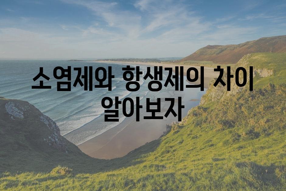 샘플 (86)