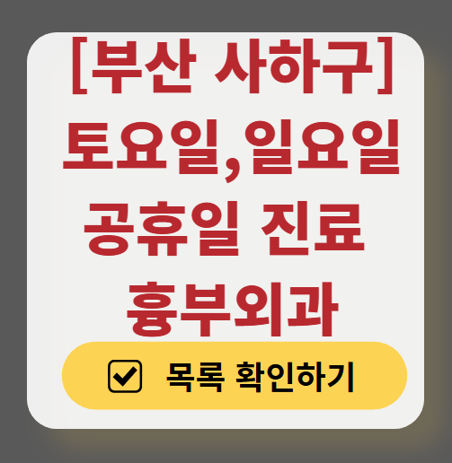 부산 사하구 주말 토요일 일요일 흉부외과 진료 병원 목록 ❘ 공휴일 진료 영업 병원 리스트 찾기