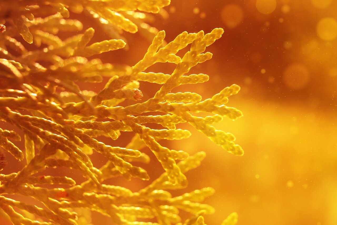 알고리즘 트레이딩이란?