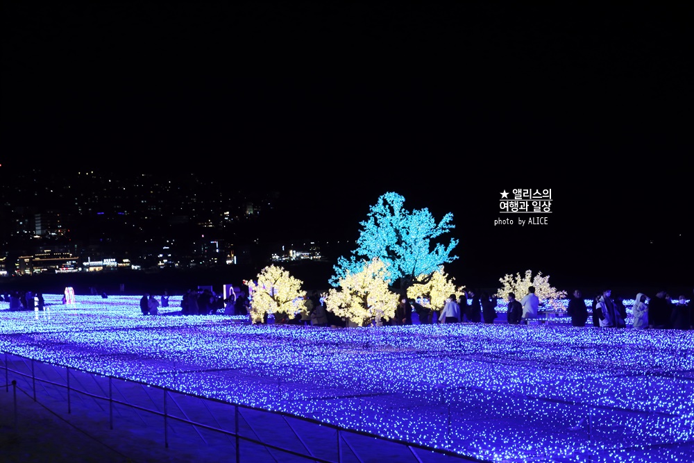 2022 제 9회 해운대 빛축제 빛의 바다 기본정보 위치 시간