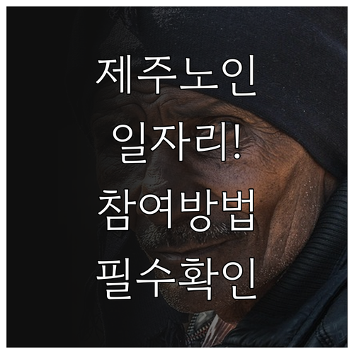 제주시 시니어클럽 노인 일자리 유형별..