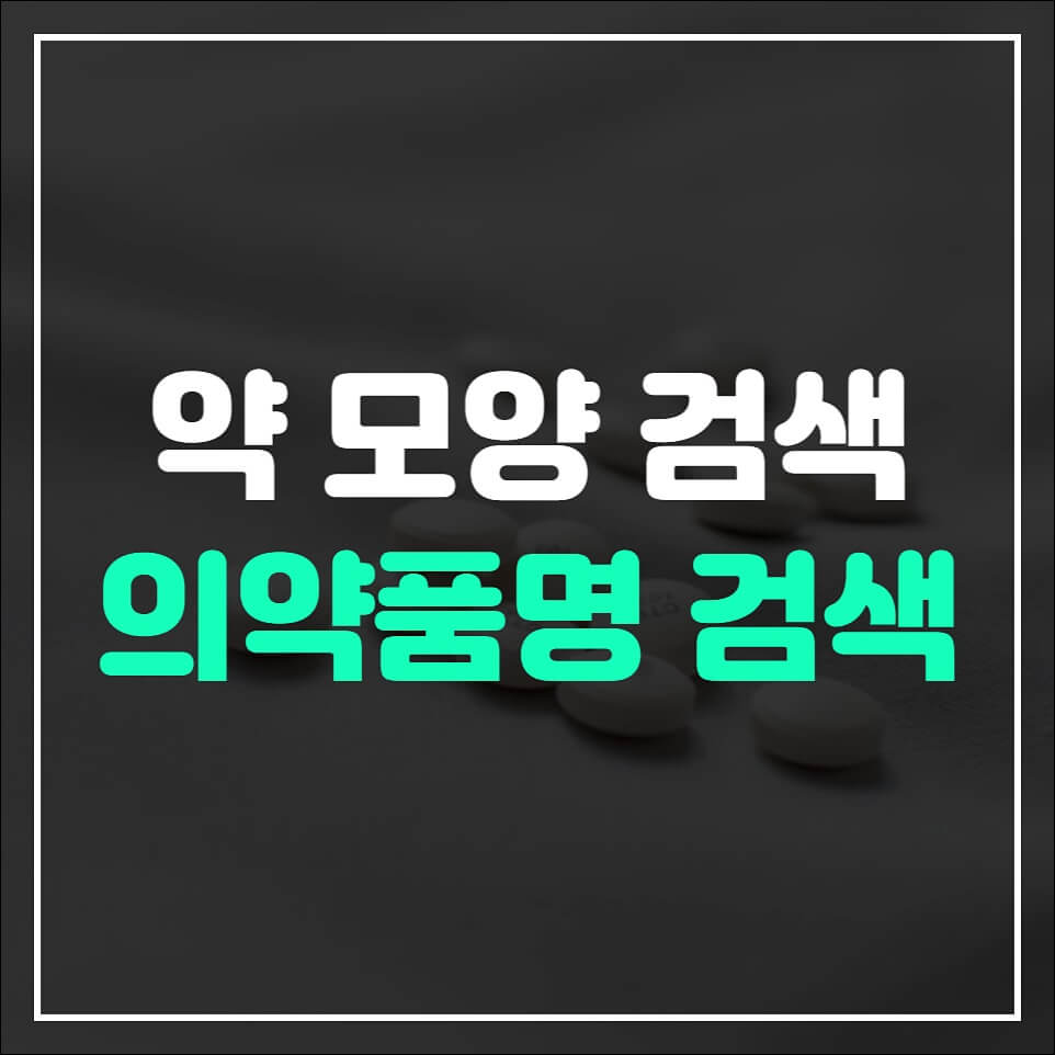 의약품명 검색방법
