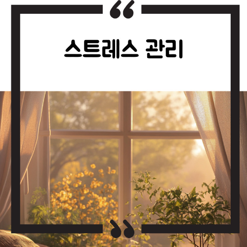 내장지방 빼는 법