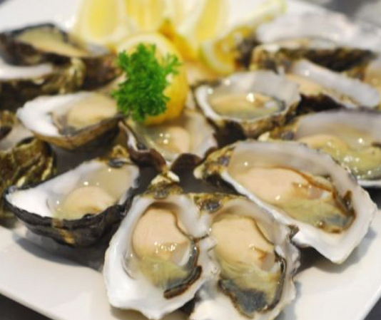 인어교주해적단