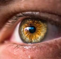 녹내장 치료법 진단 기준 합병증