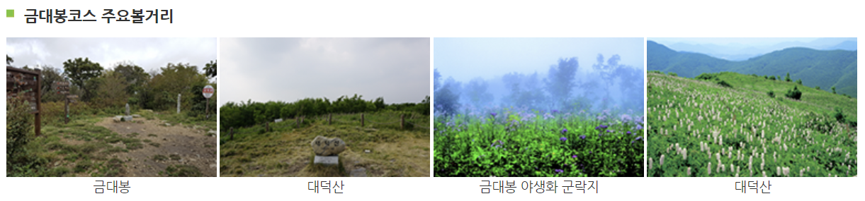태백산 탐방코스∣유일사 당골 금대봉 탐방로 예약 (출처 : 태백산 국립공원 홈페이지)