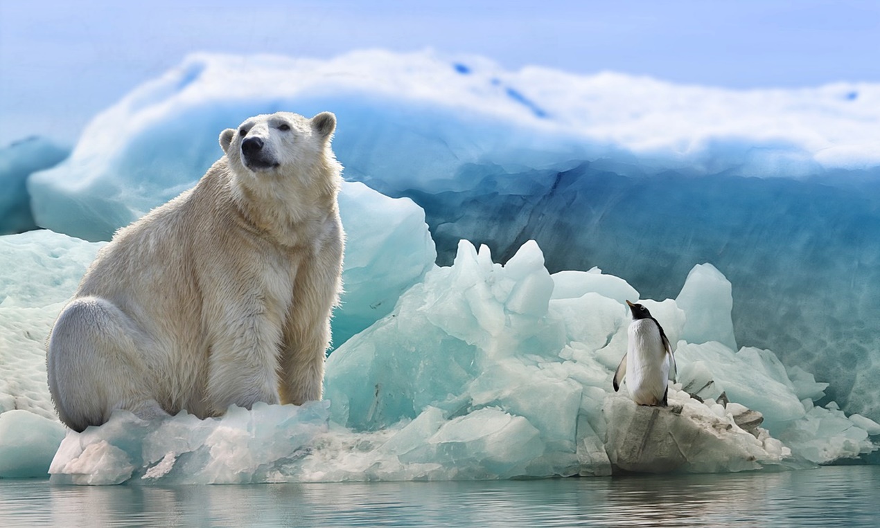 빙하 붕괴 이후 가장 먼저 무너지는 것은 &lsquo;해안 도시&rsquo;가 아니다