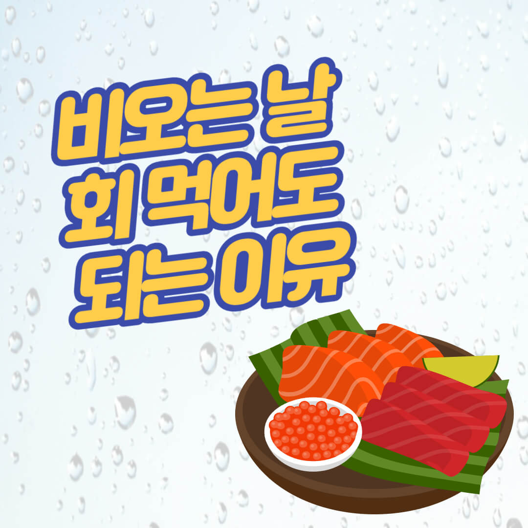 비오는날 회