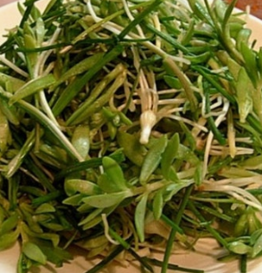 달래 효능 부작용 뿌리 고르는법