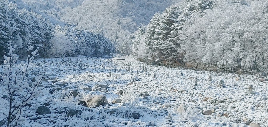 트레킹 명소 백담계곡 한라산 설경보다 예쁜데 3월 말까지 8km 전부 무료인