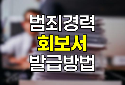 범죄경력회보서 발급 시스템, 인터넷 발급 방법, 제출 서류 및 주요 정보