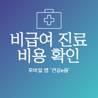 비급여 진료비용 확인 방법 건강e음 앱