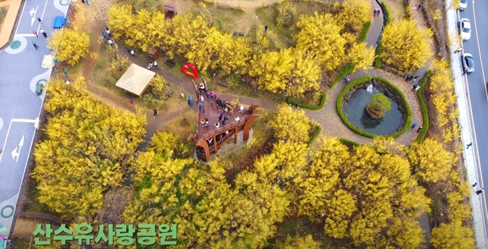 구례산수유꽃축제