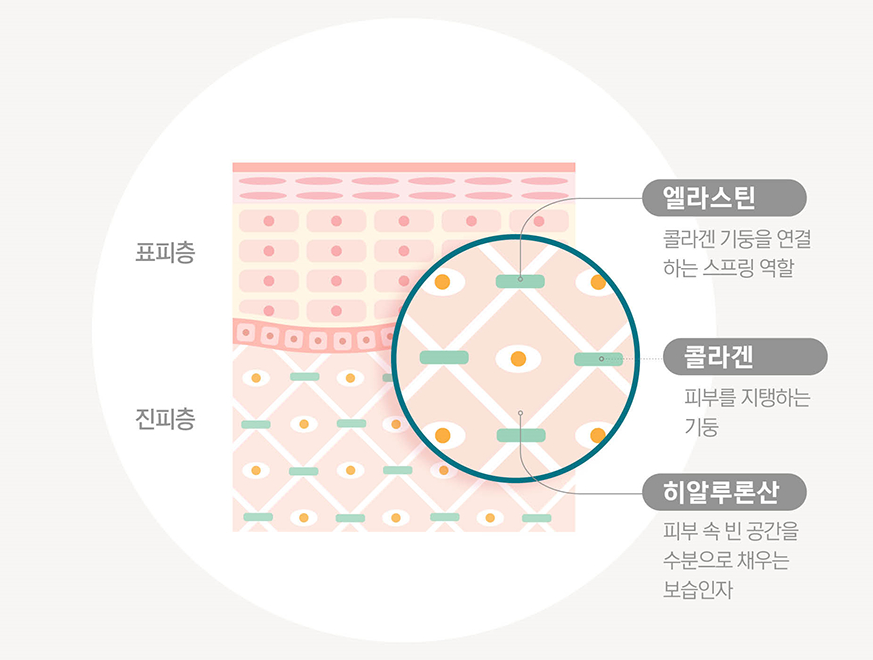 동국제약 병풀 콜라겐 앰플 가격 파는 곳 효능