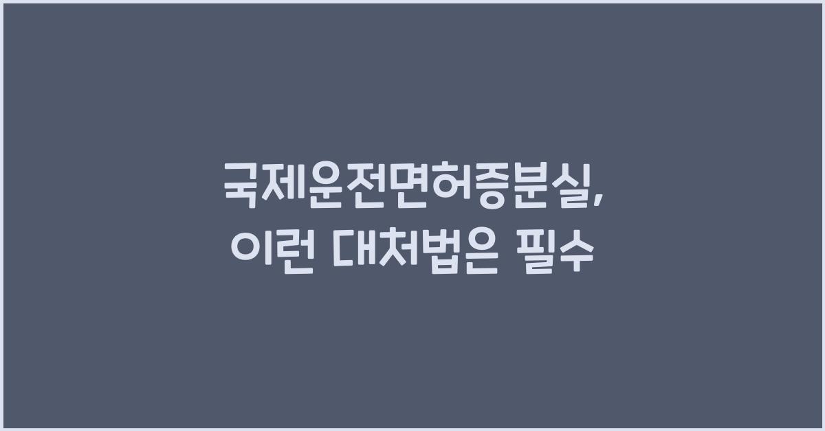 국제운전면허증분실