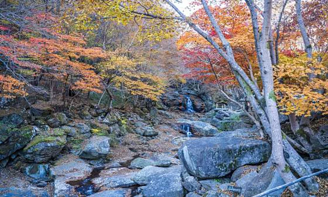 배달성전삼성궁