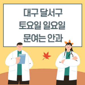 대구 달서구 토요일 일요일 안과 진료 문여는 병원 리스트