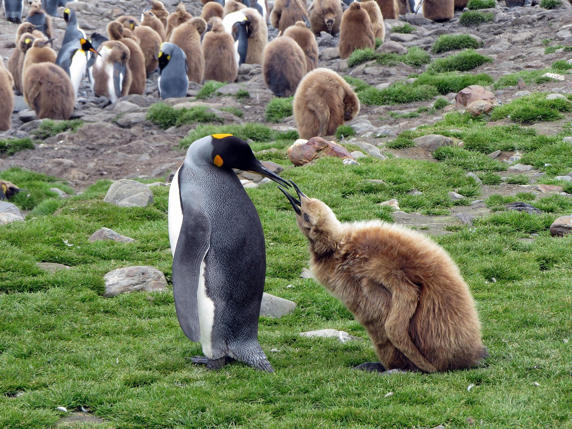  기후 위기는 왜 &lsquo;교육과 노동시장&rsquo;부터 무너뜨리는가?