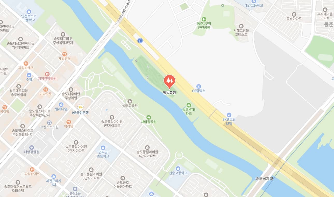 송도 해변축제