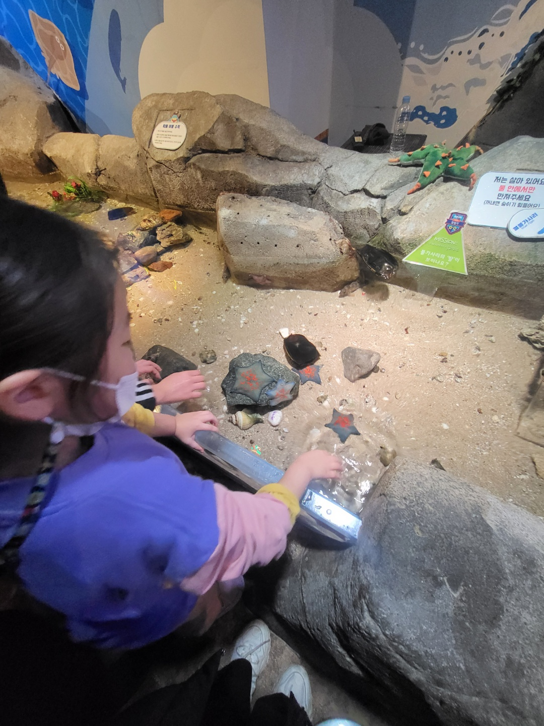 부산 아쿠아리움