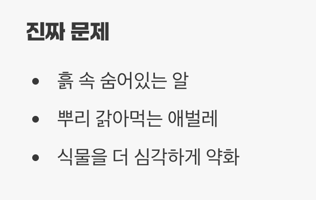 알과 애벌레를 놓치지 마세요