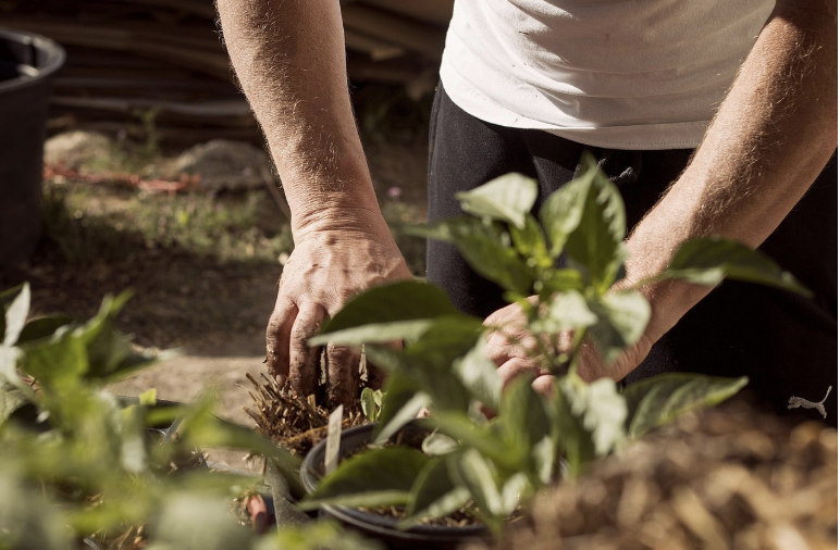 기후변화와 인류의 활동적 전략, 미래생활법
&ndash; 더 이상 경고가 아닌, 생존을 위한 지혜