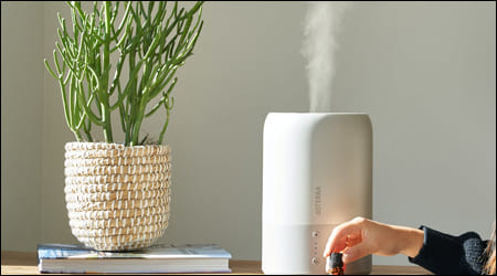 가습기를 체크하는 손