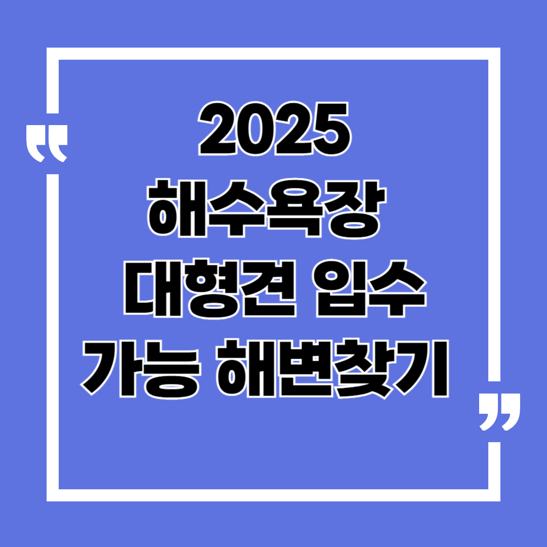대형견 입장 가능한 전국 해수욕장 정리 & 추천 TOP3