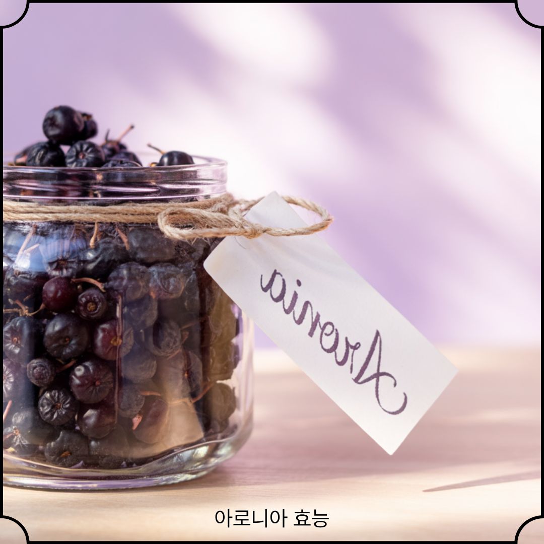 아로니아 효능