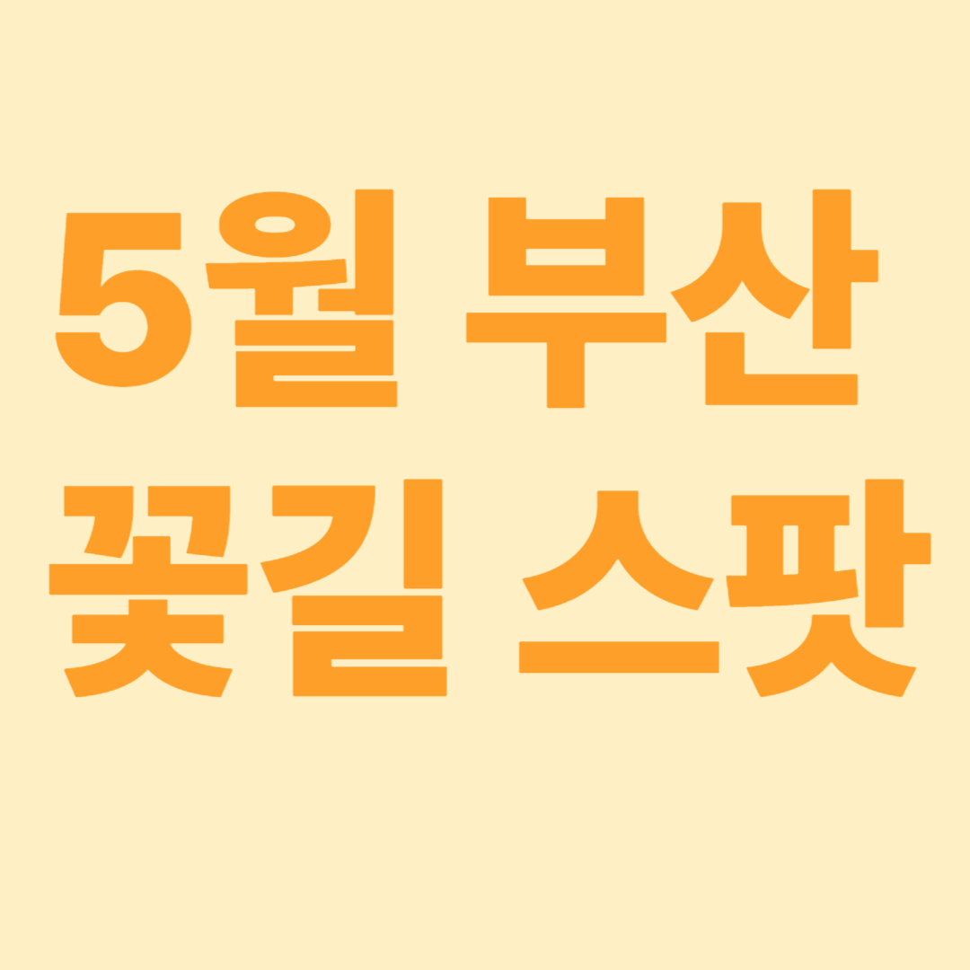 5부산꽃길스팟 이라는 썸네일 이미지