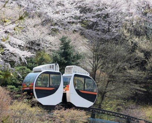 조용한수목원